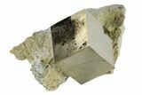 Pyrite Cube In Rock - Navajun, Spain #118236-1